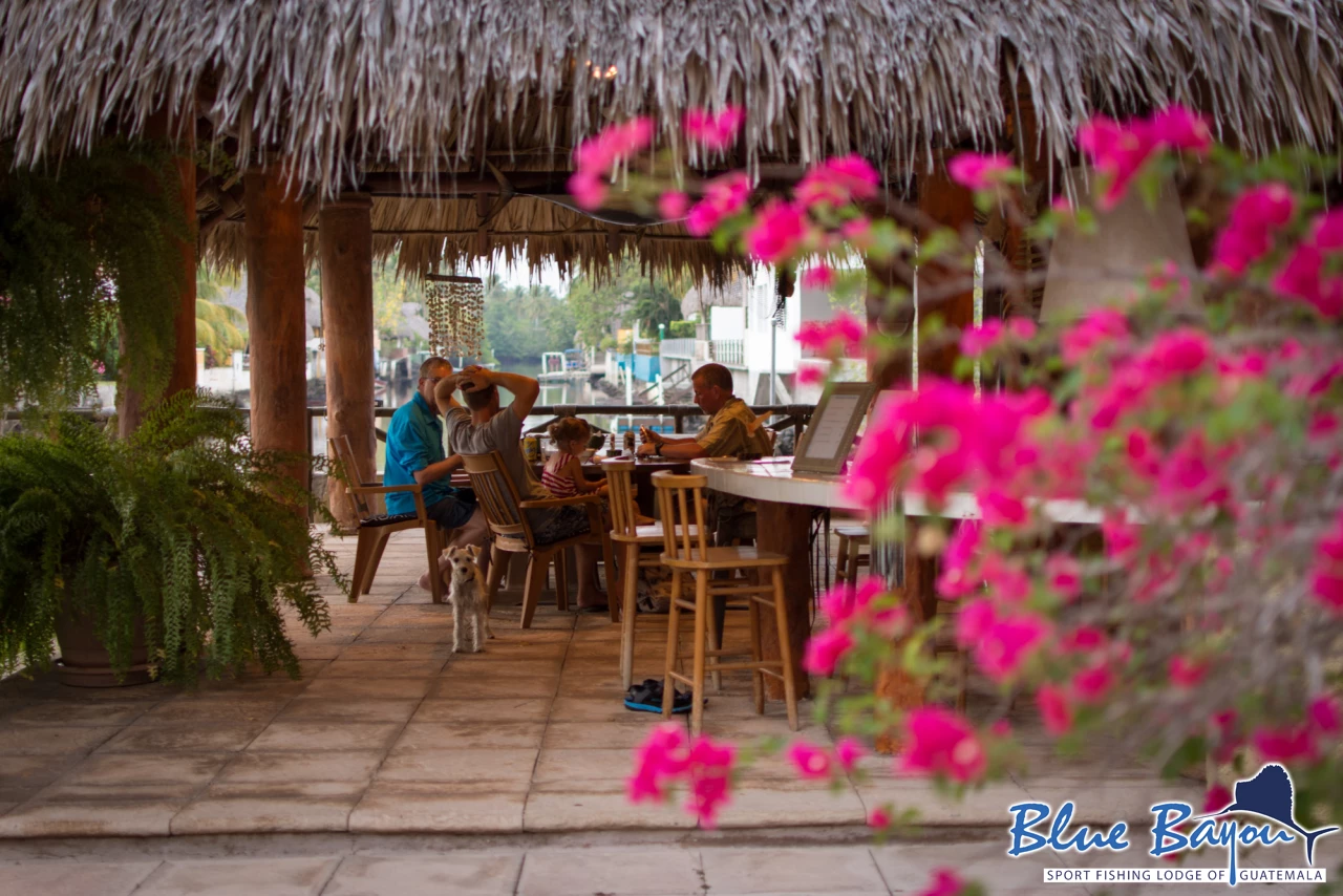 BlueBayou 4 1  BlueBayou 4 1