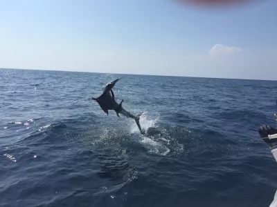 IMG 0310