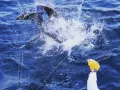 IMG 20170120 174554 877
