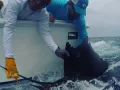 JonSailFirst