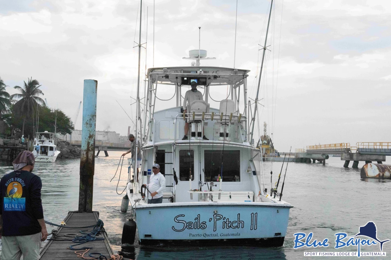 sailspitchbackup1 sailspitchbackup1