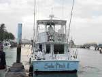 sailspitchbackup1 sailspitchbackup1